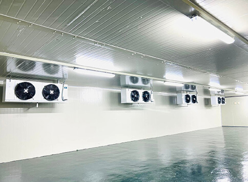 Ceiling-mounted side-blowing evaporator