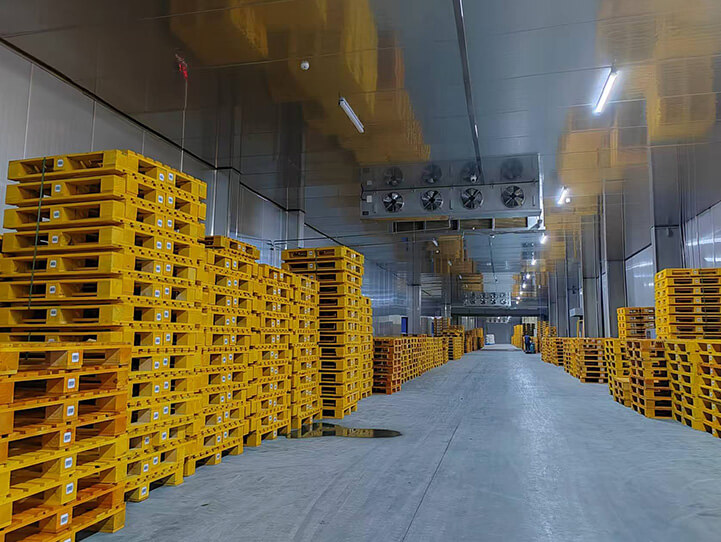 Fresh-keeping Cold Storage