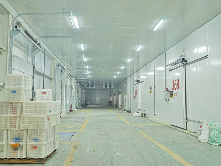 Slaughterhouse Foods Cold Storage